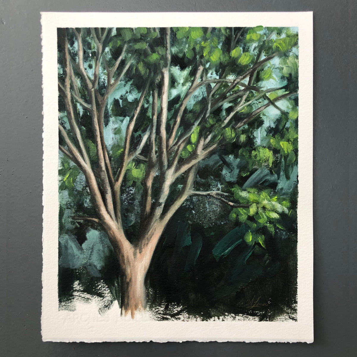 Tree 04/100