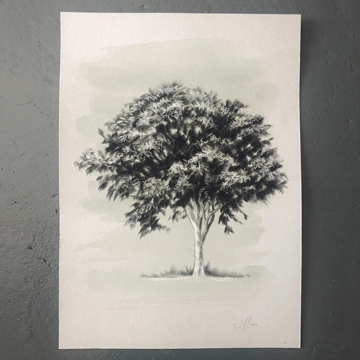 Tree 20/100