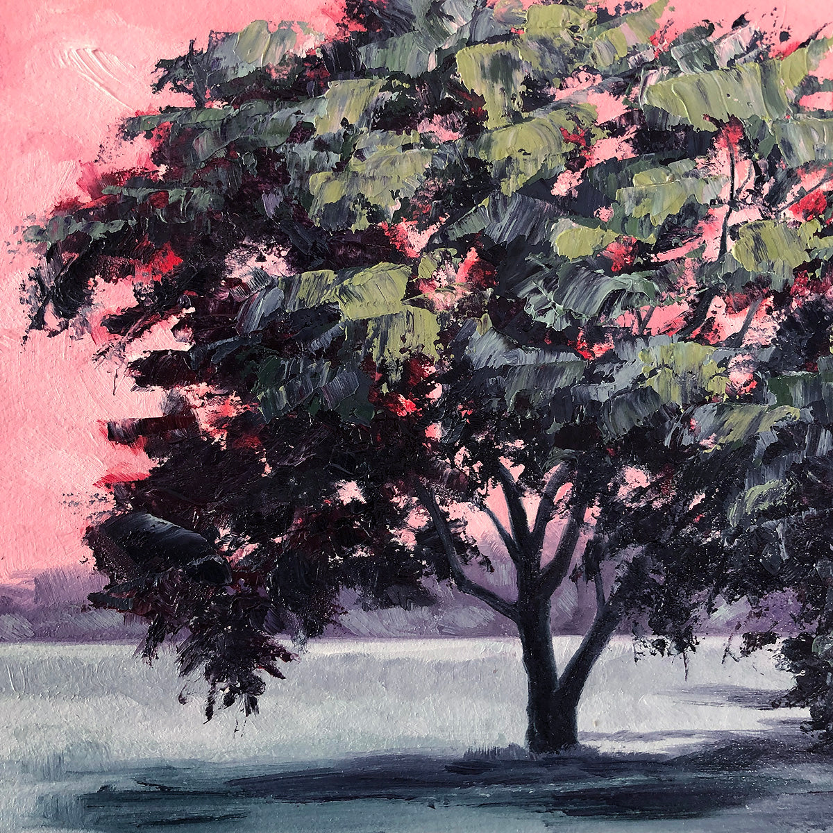 Tree 23/100