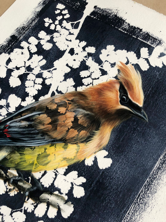 Cedar Waxwing - 11 x 14"