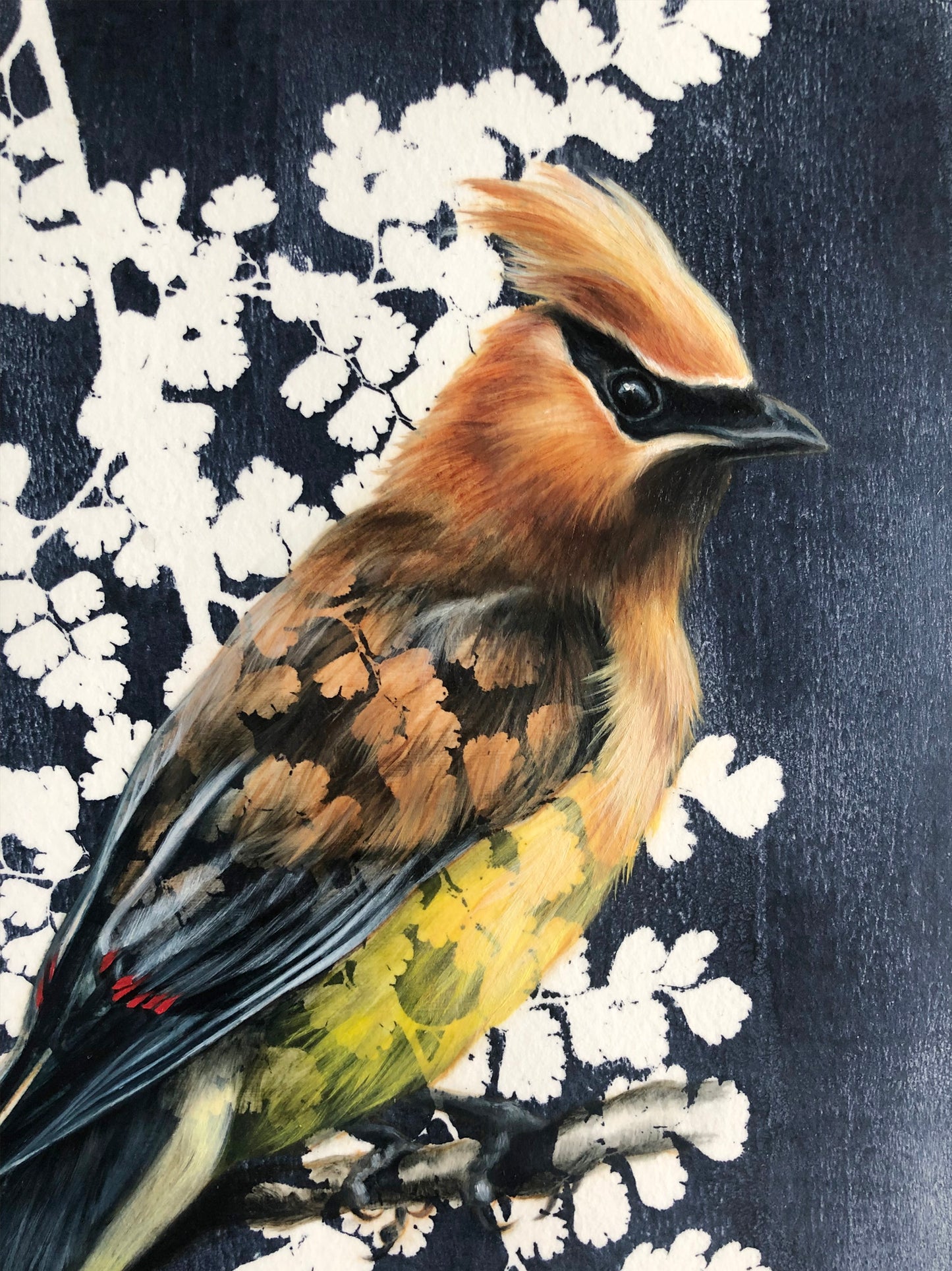 Cedar Waxwing - 11 x 14"