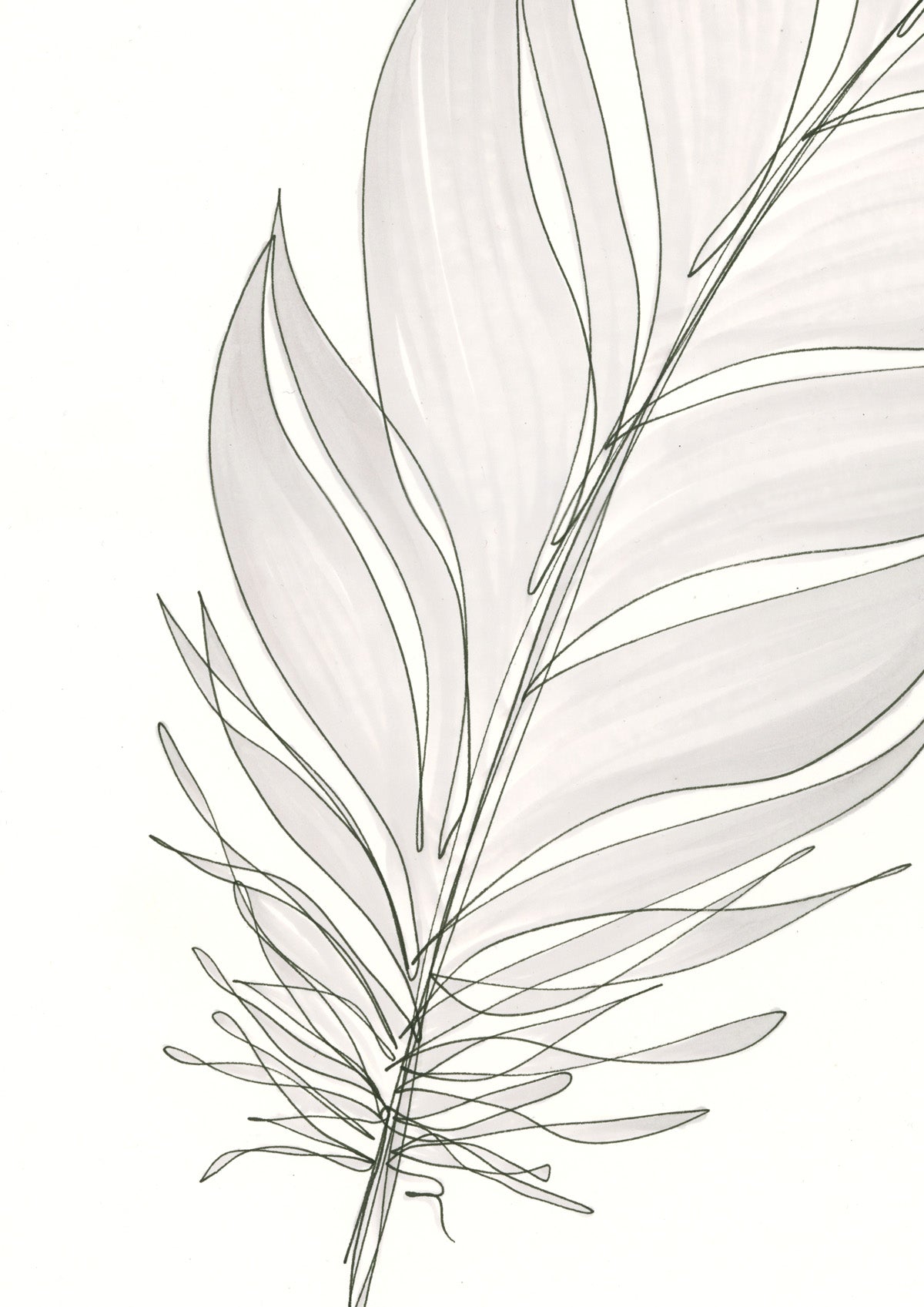 Feather Lines #2 - 12 x 16"
