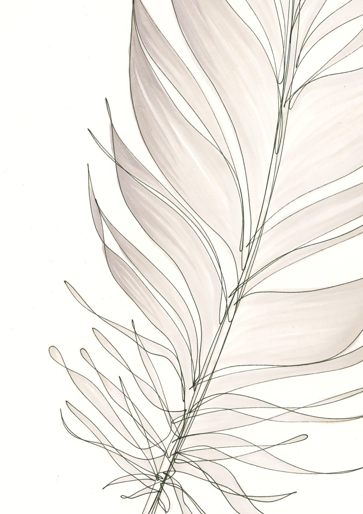 Feather Lines #3 - 12 x 16"