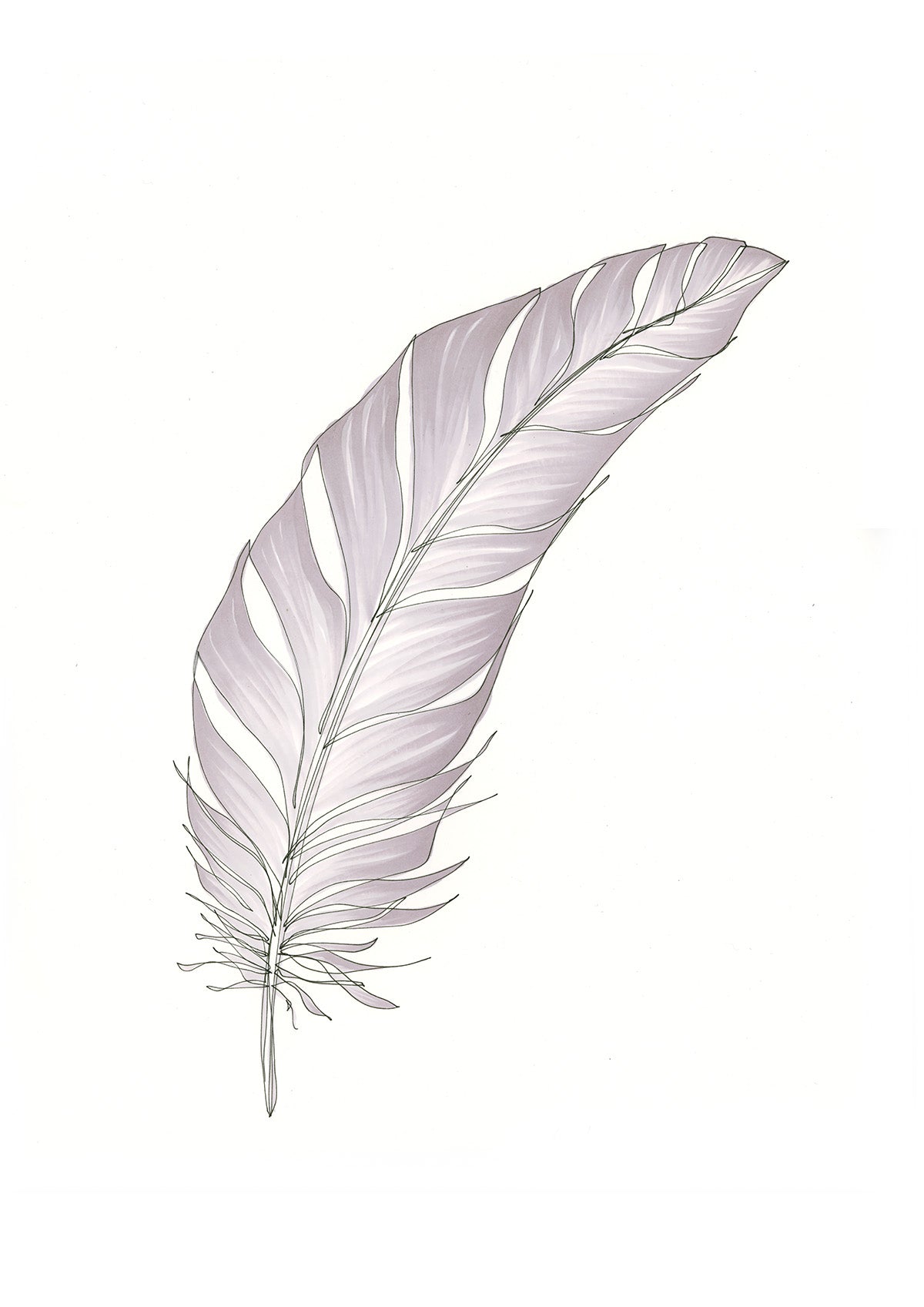 Feather Lines #4 - 12 x 16"