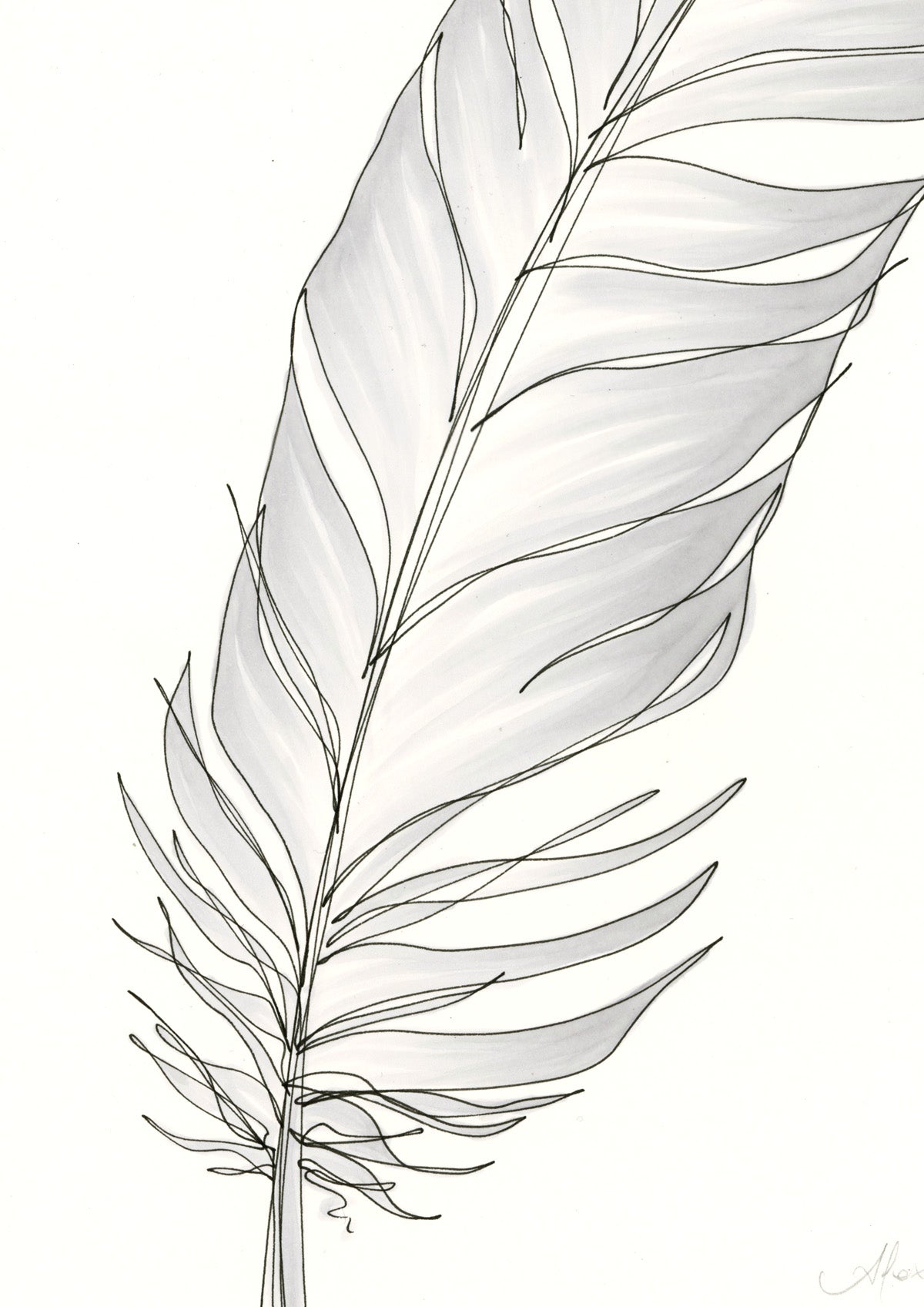 Feather Lines #6 - 12 x 16"