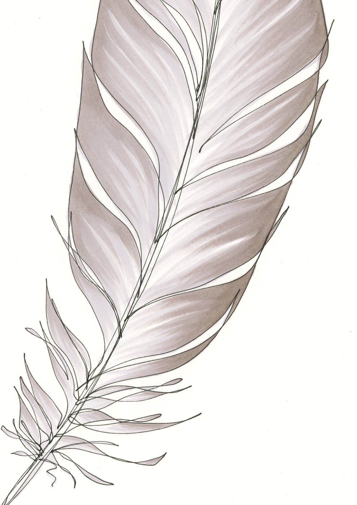 Feather Lines #7 - 12 x 16"