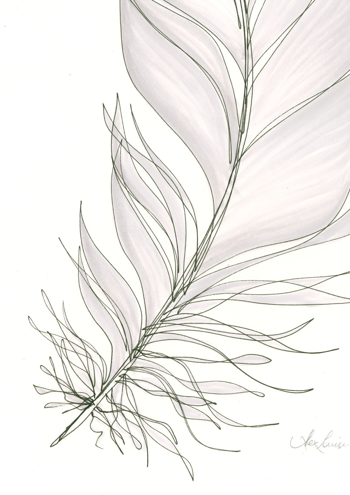 Feather Lines #11 - 12 x 16"