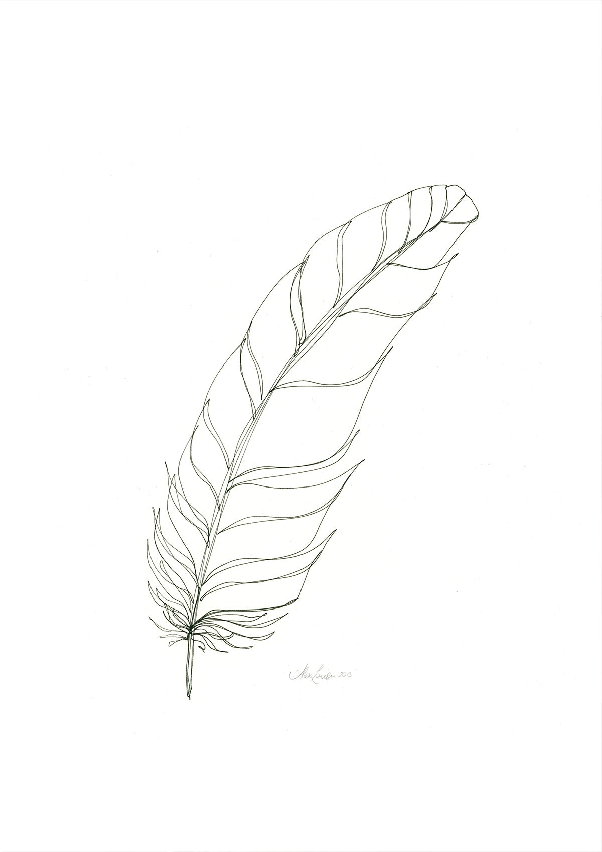 Feather Lines #14 - 12 x 16"