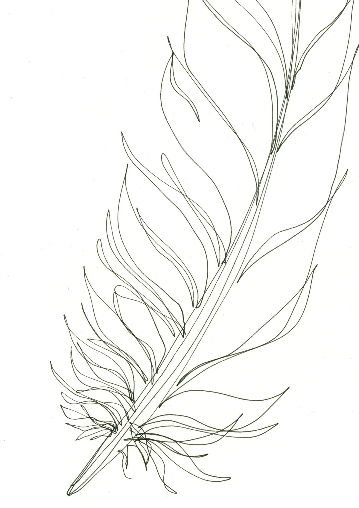 Feather Lines #15 - 12 x 16"