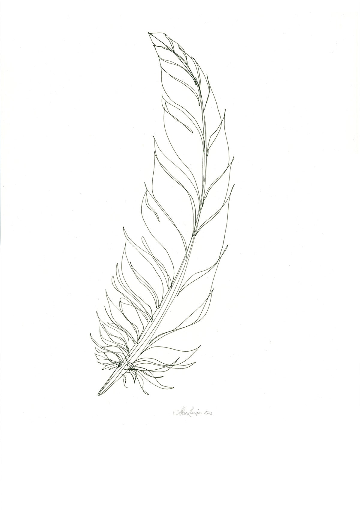 Feather Lines #15 - 12 x 16"