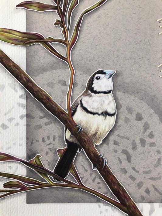 Finch - 8x10"