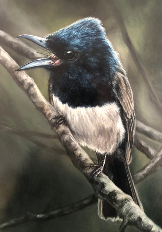 Flycatcher Family - 14.5 x 38.5"