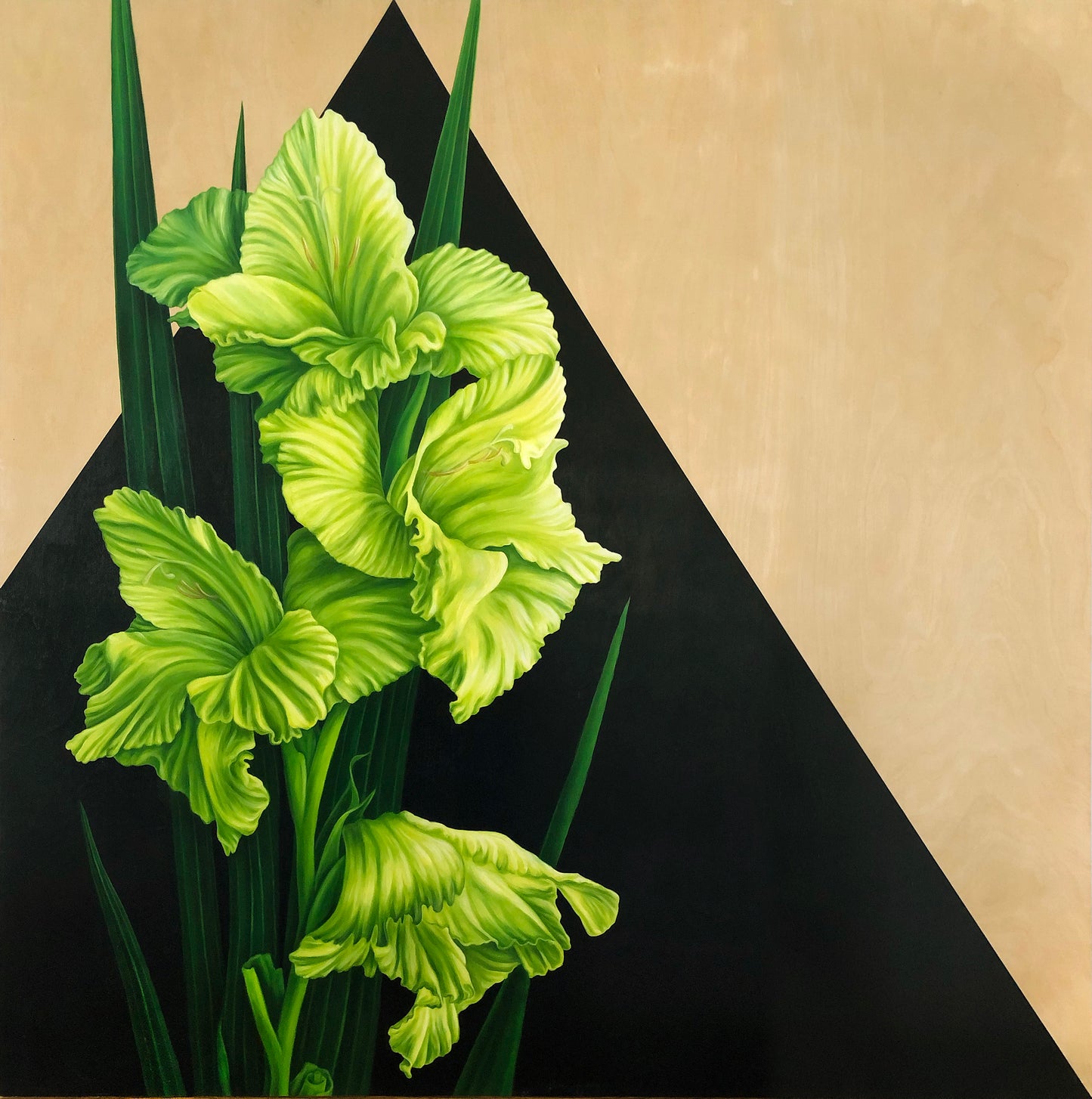 "Gladioli on Black" - 36 x 36"