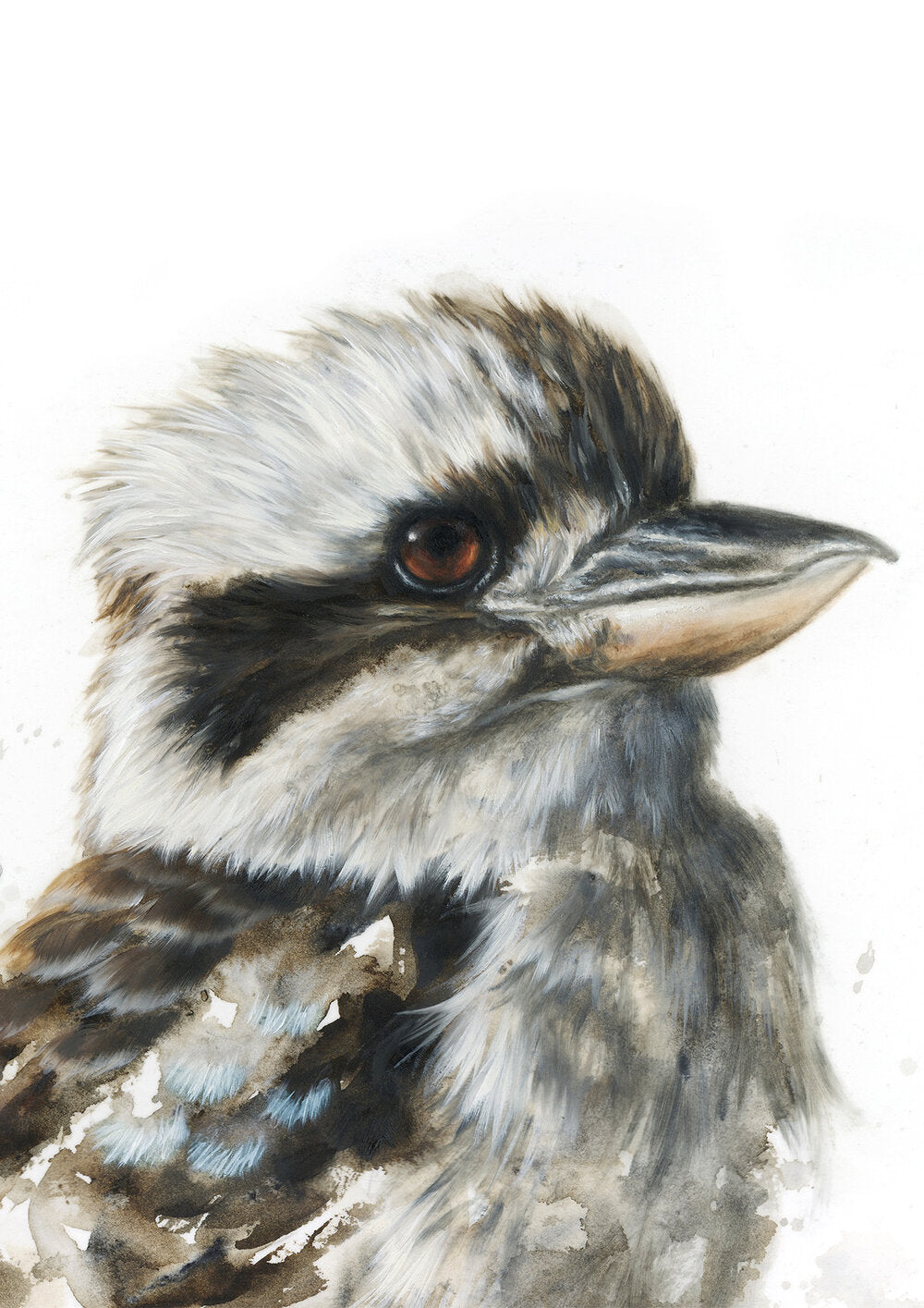 Kookaburra #1 - Limited Edition Print