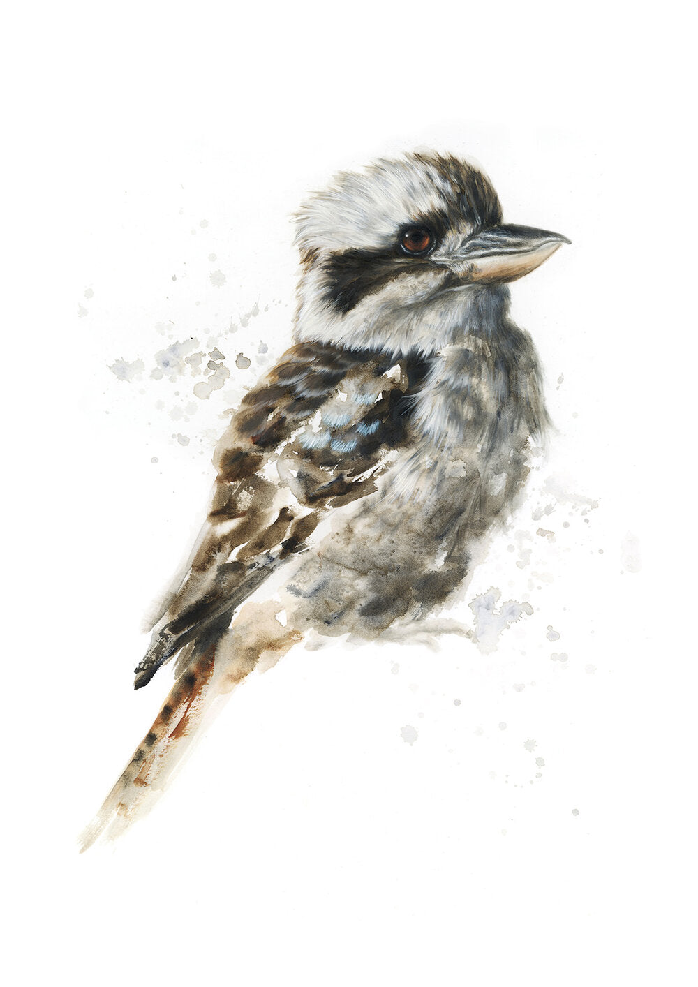 Kookaburra #1 - Limited Edition Print