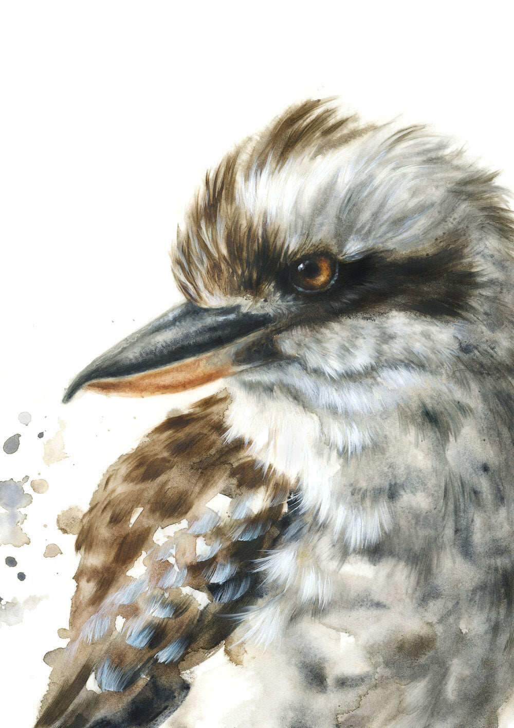 Kookaburra #2 - Limited Edition Print