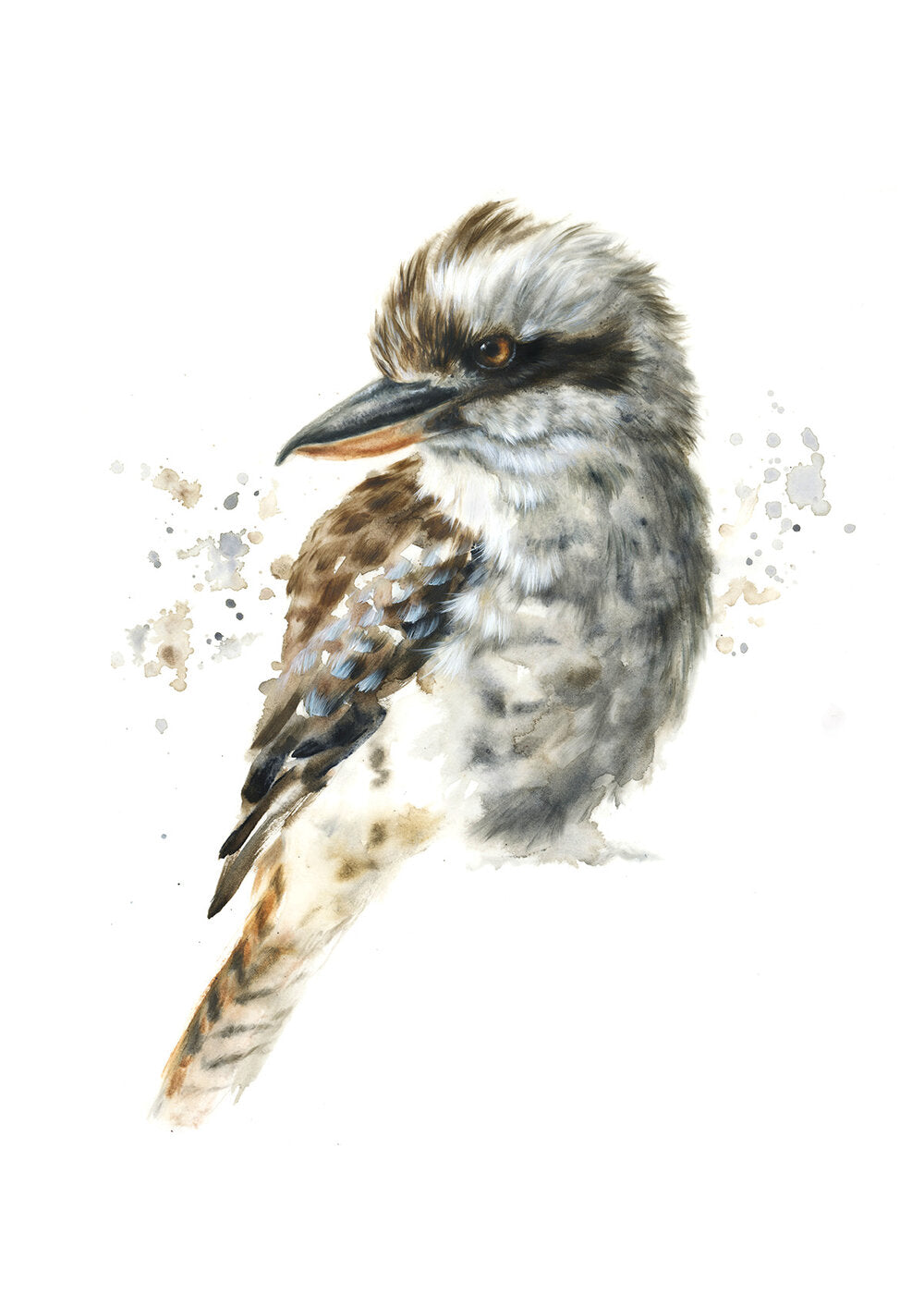 Kookaburra #2 - Limited Edition Print