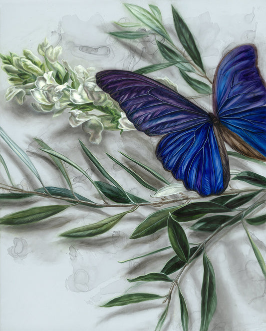 "Morpho Blue" - 16 x 20"