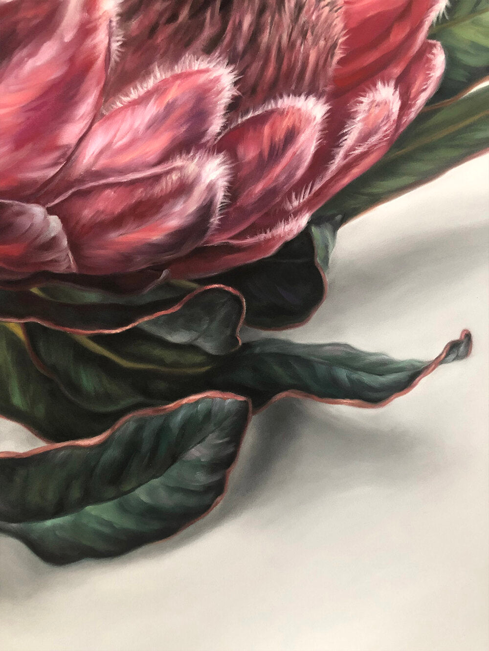 Protea - 18 x 24"