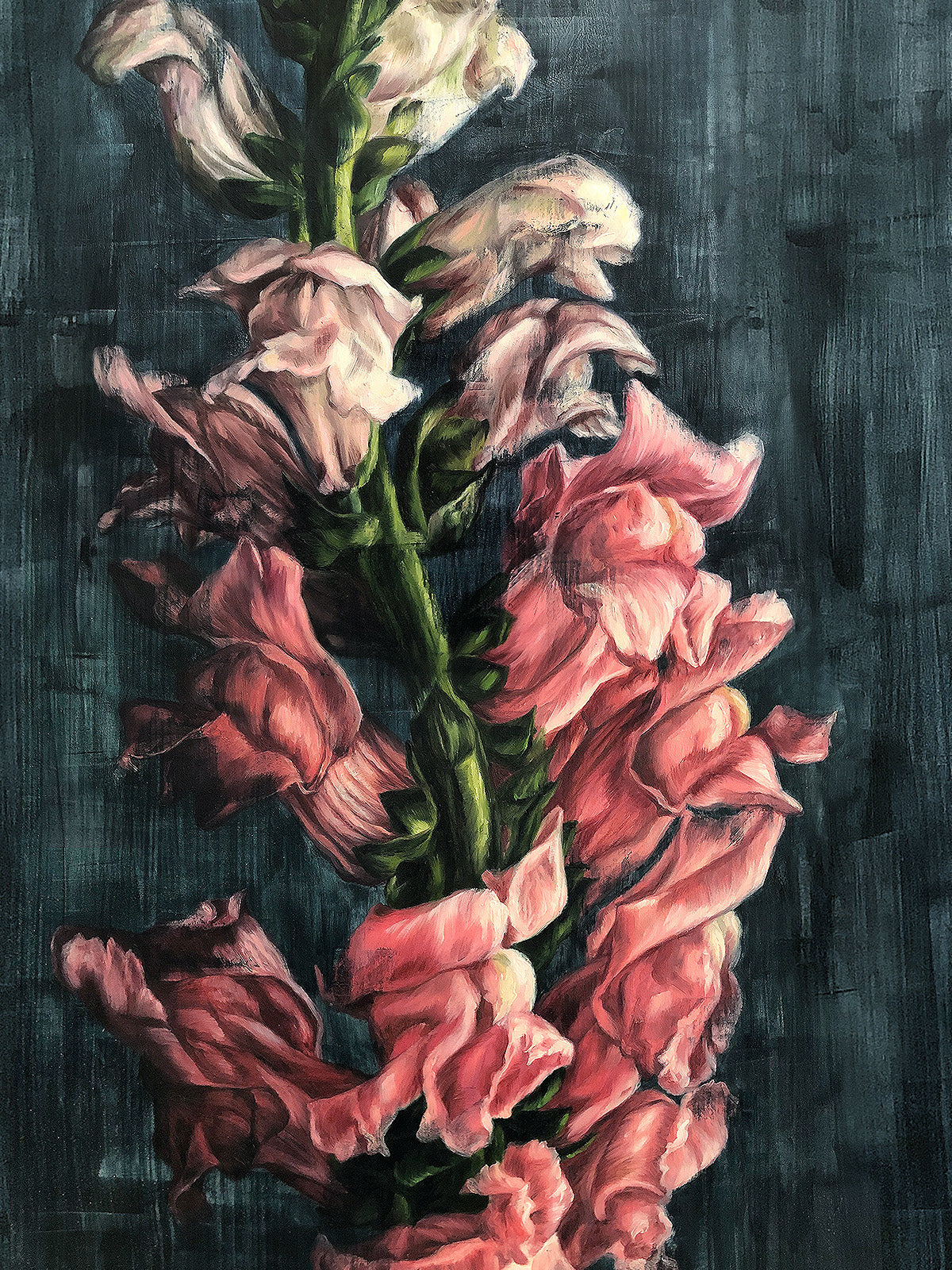 "Snapdragons" - 24 x 32"