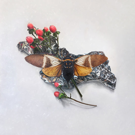 "Hypericum Cicada" - 48 x 48"