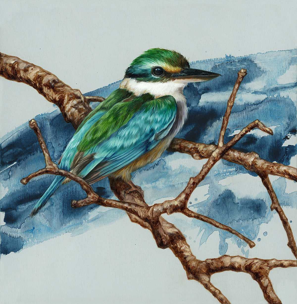 "Sacred Kingfisher" - 10 x 10"