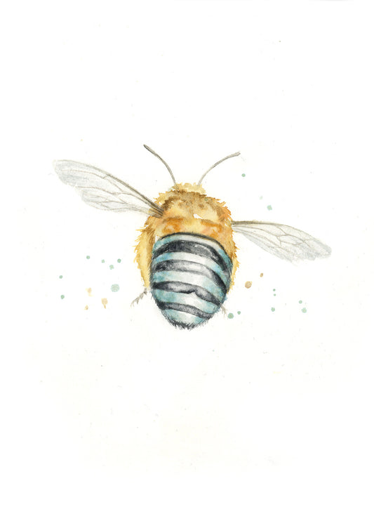 Bee #37
