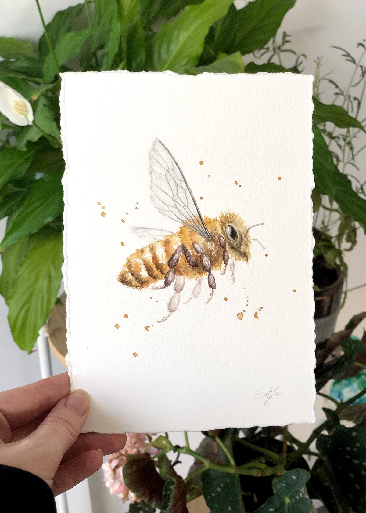 Bee #48