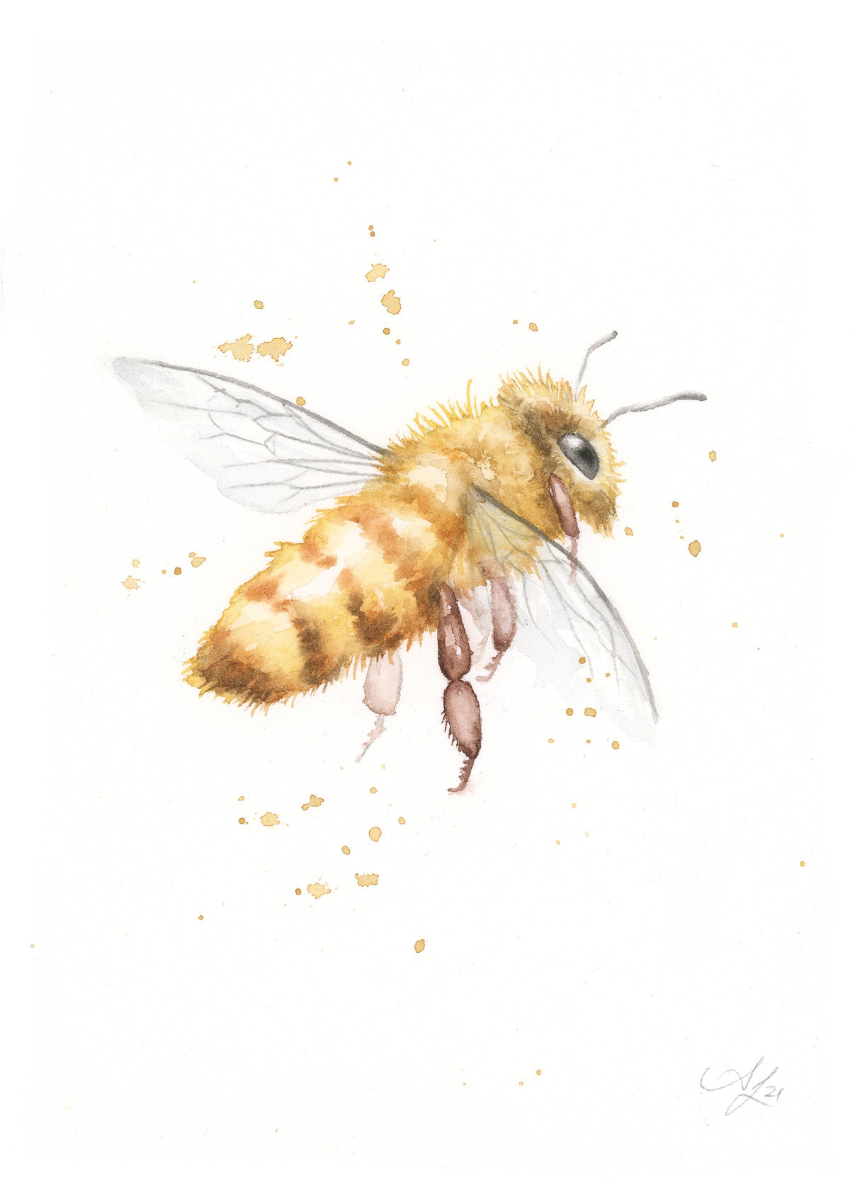 Bee #54