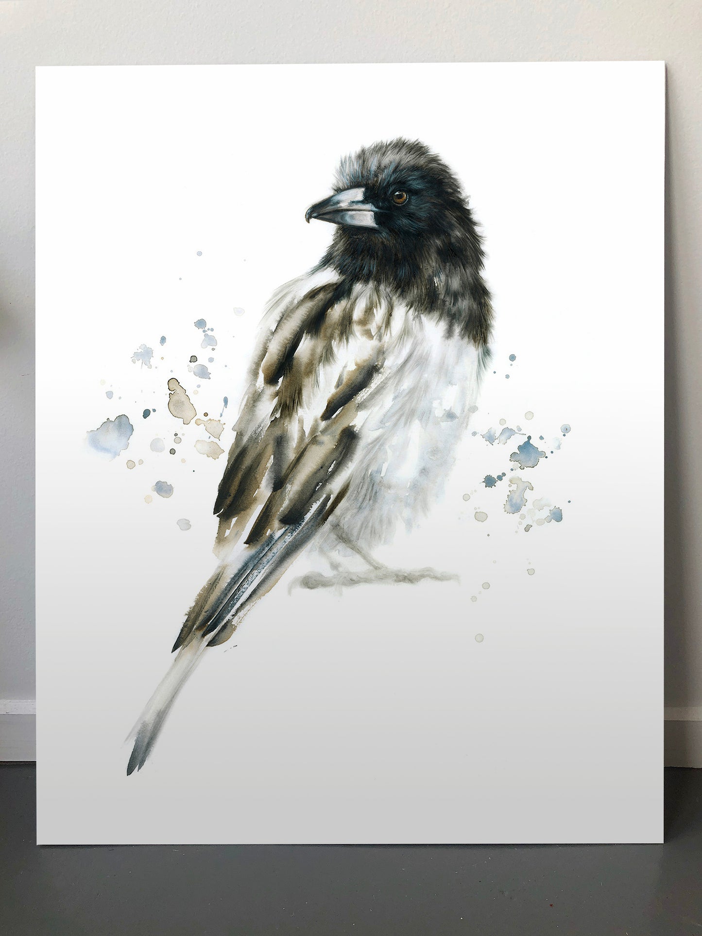 Butcherbird - 16 x 20"