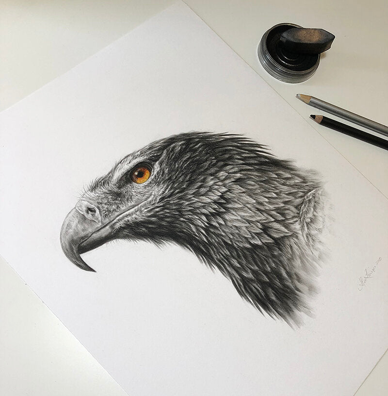 Wedgetailed Eagle - Limited Edition