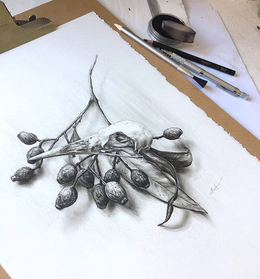 Fragments (Study) - 11 x14"