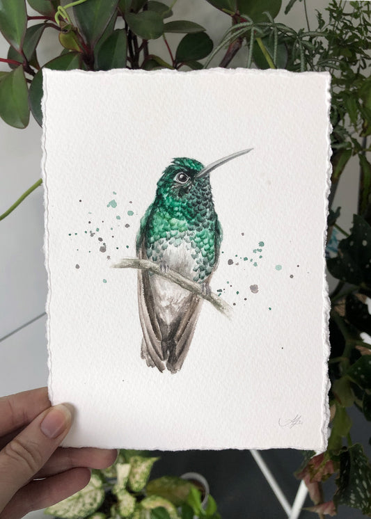 Hummingbird #8