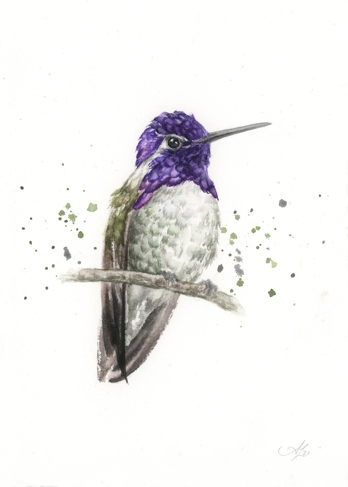 Hummingbird #9