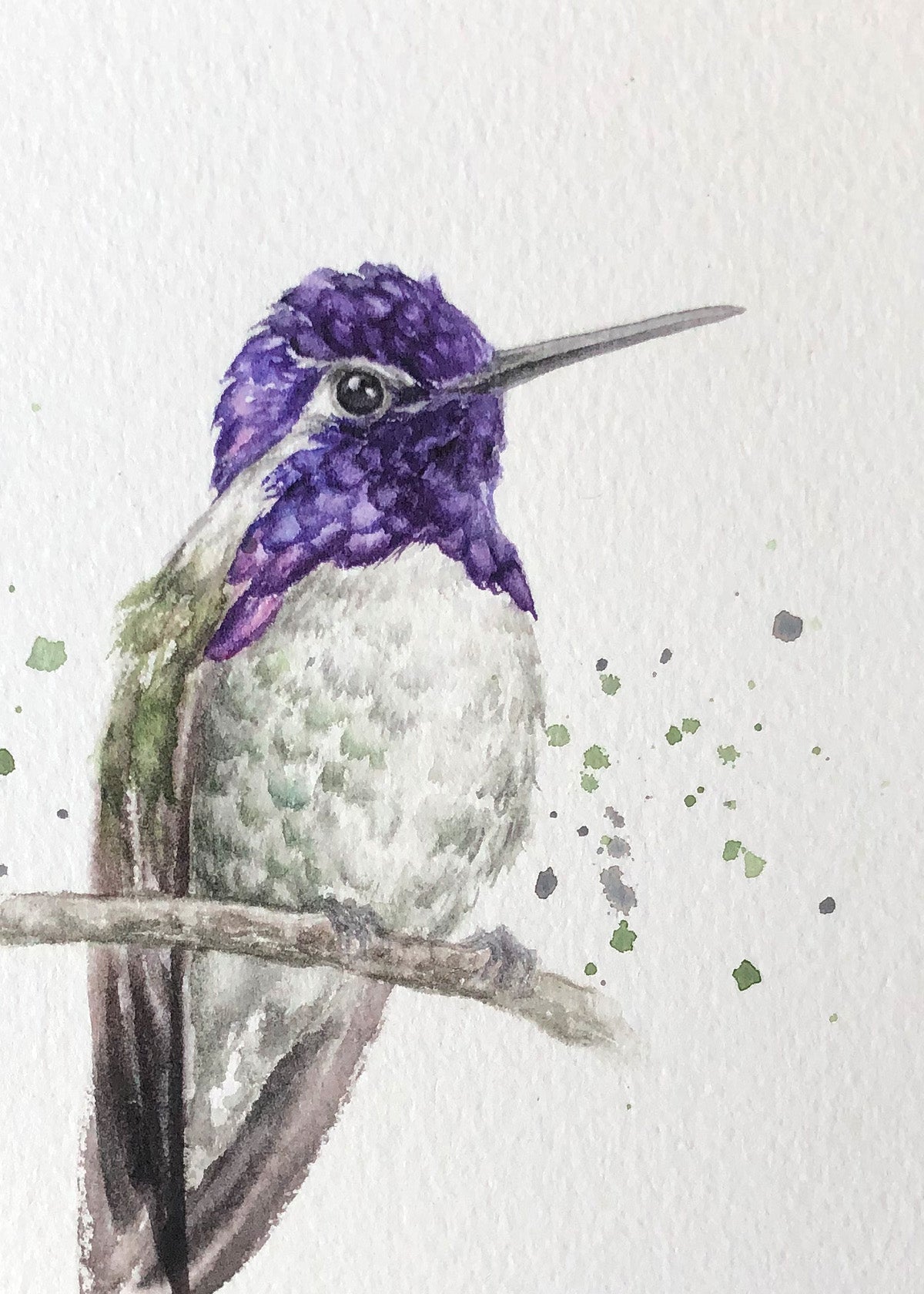 Hummingbird #9