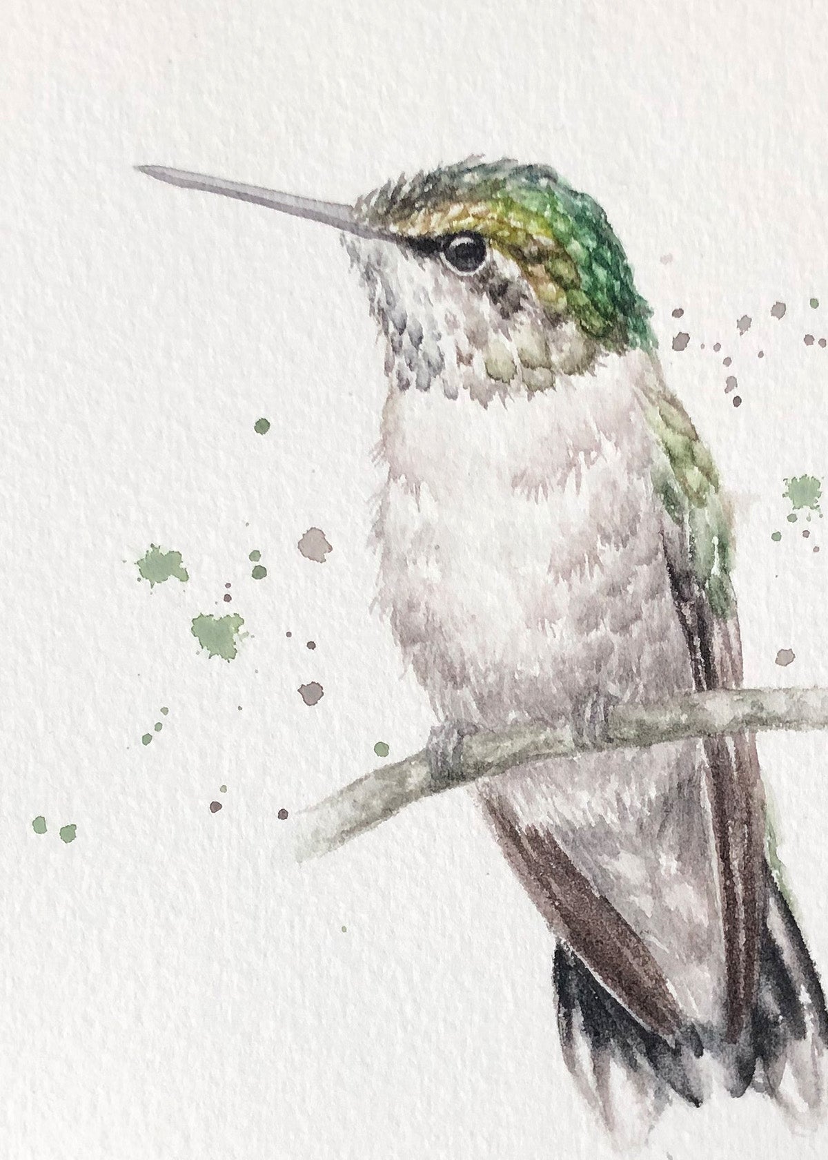 Hummingbird #10