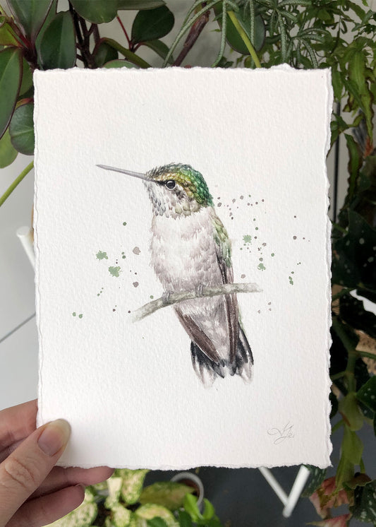 Hummingbird #10