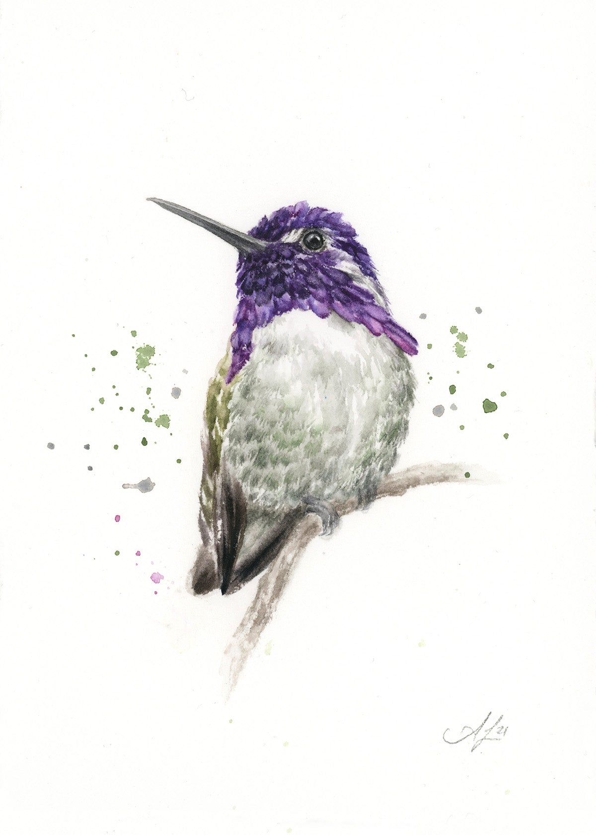 Hummingbird #11