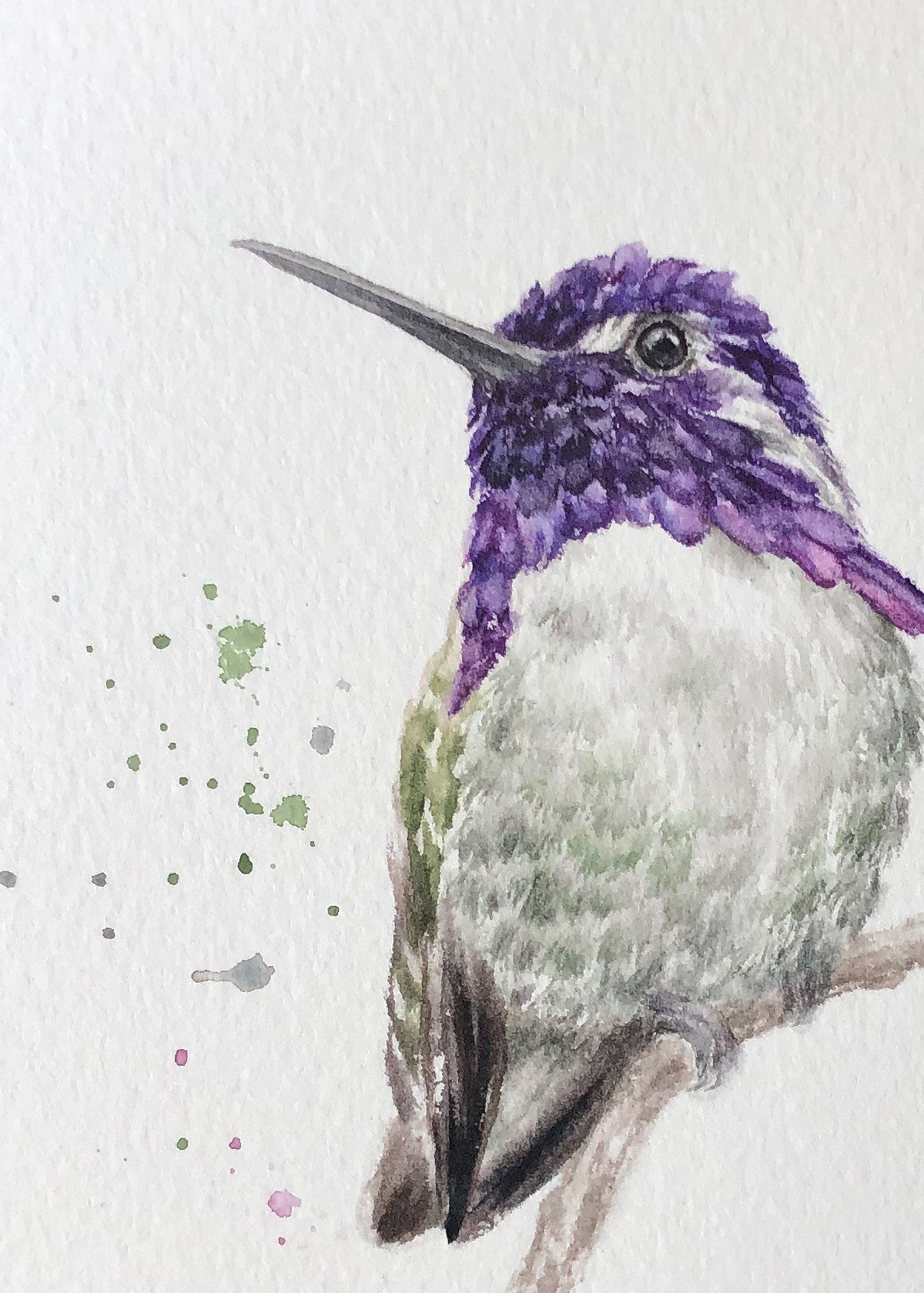 Hummingbird #11