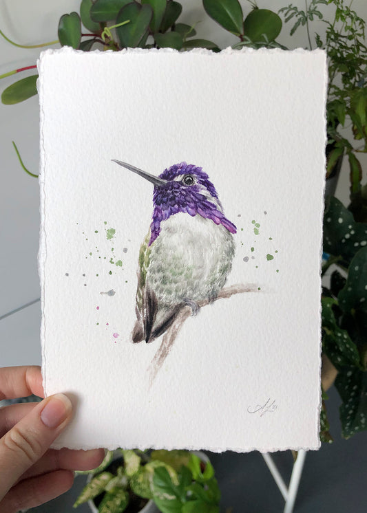 Hummingbird #11