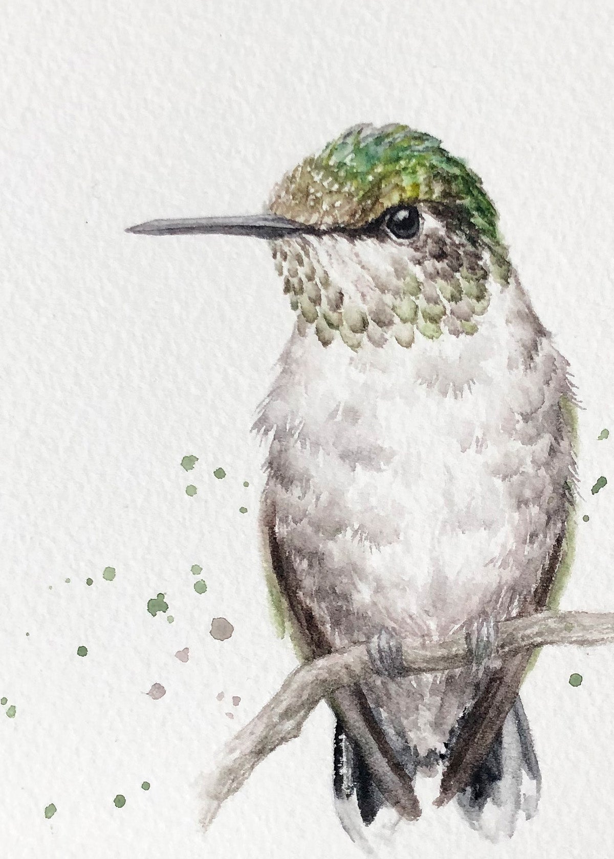 Hummingbird #12