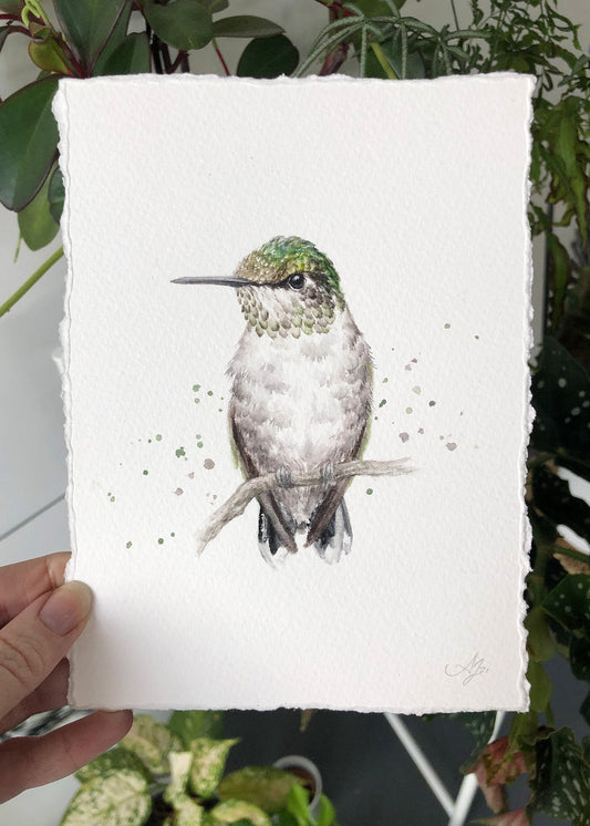 Hummingbird #12