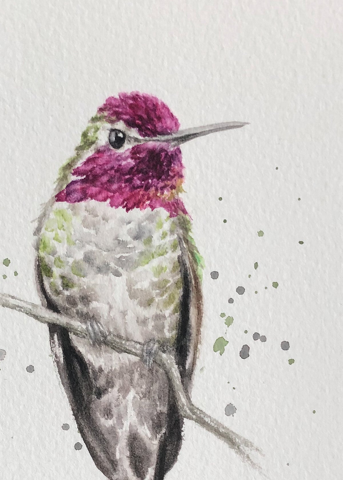 Hummingbird #13