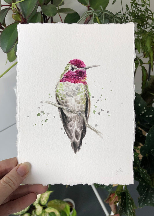 Hummingbird #13