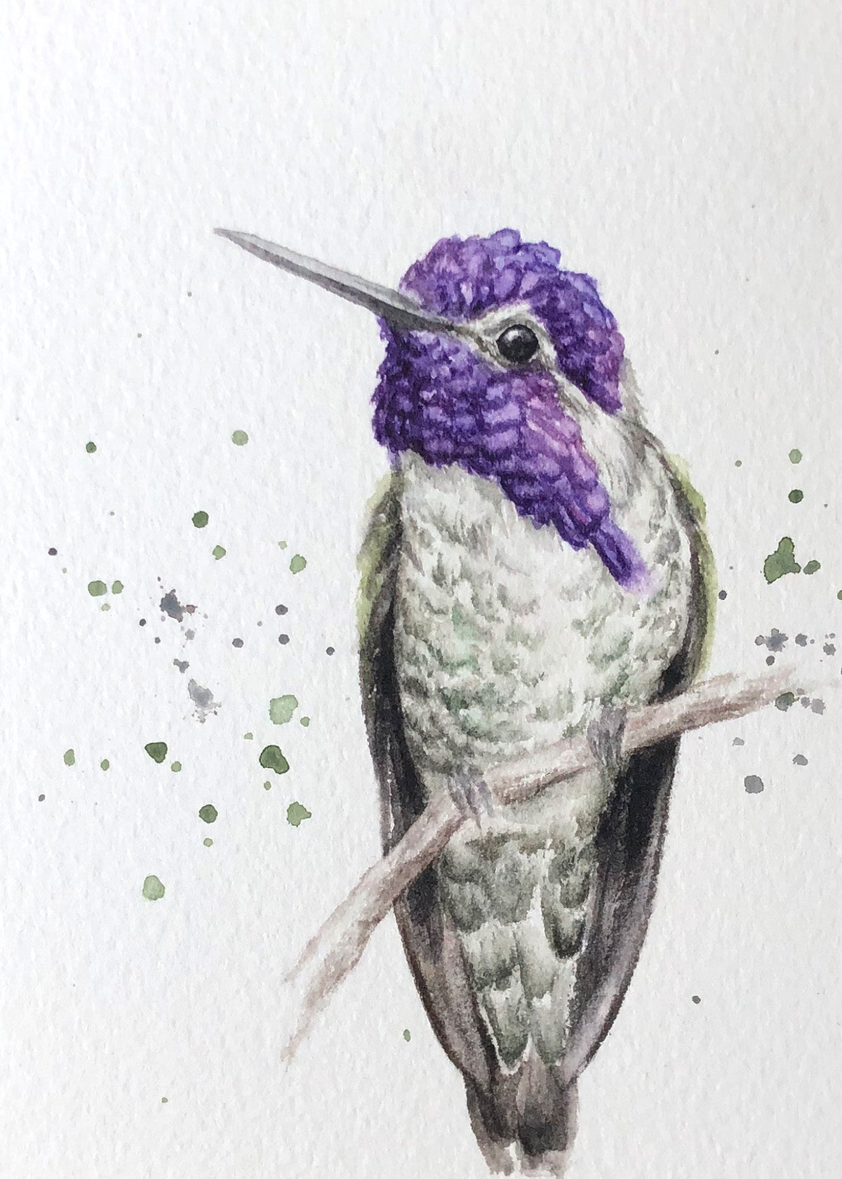 Hummingbird #15