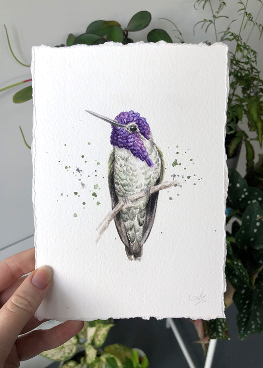 Hummingbird #15