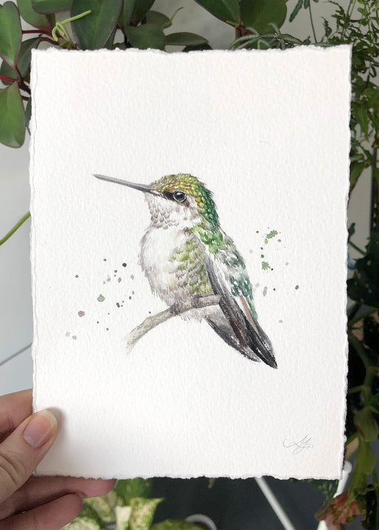 Hummingbird #16