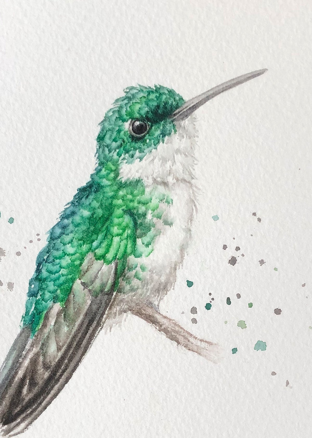 Hummingbird #17