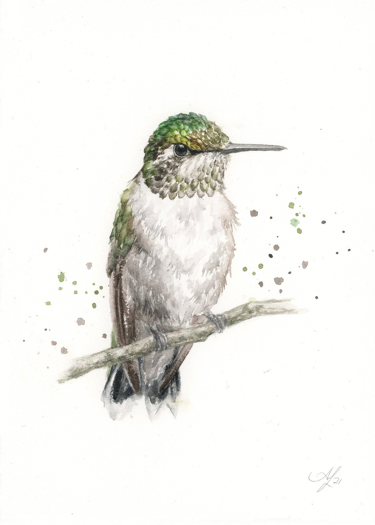 Hummingbird #18