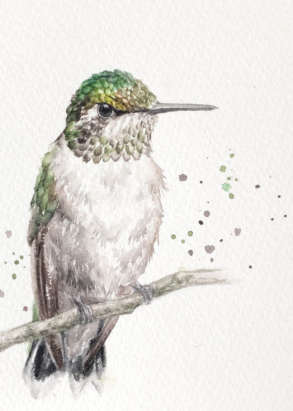Hummingbird #18